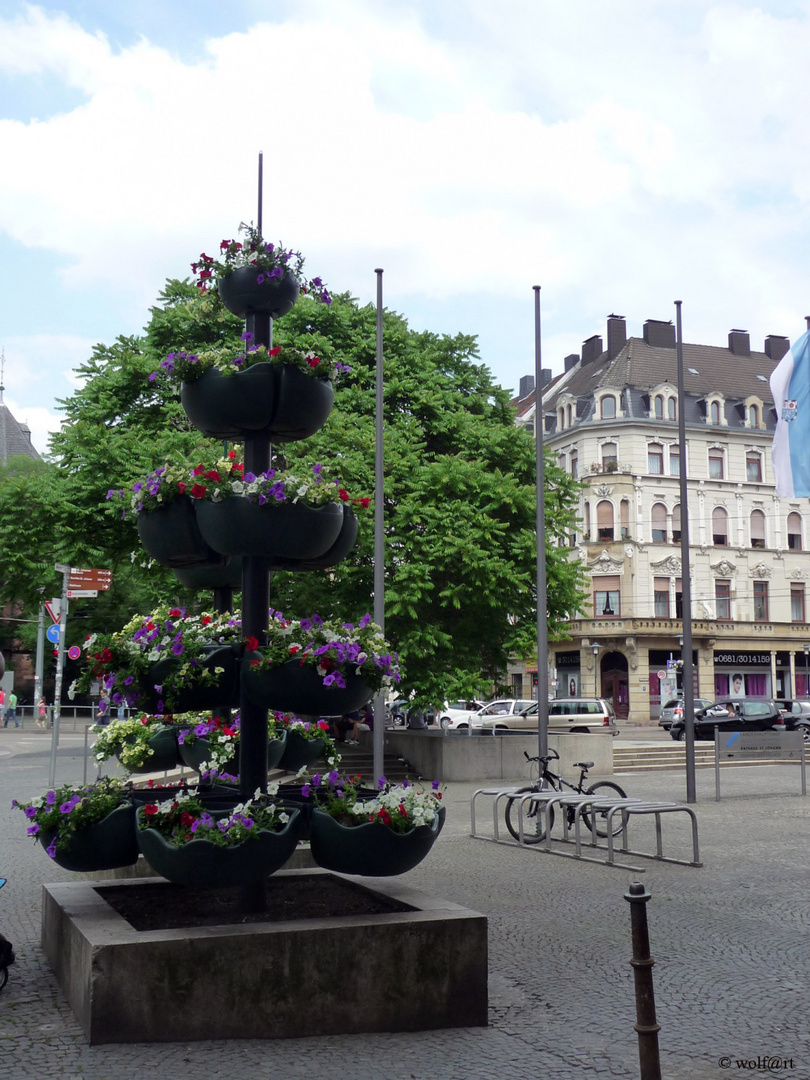 Blumenarrangement vorm Rathaus in Saarbrücken