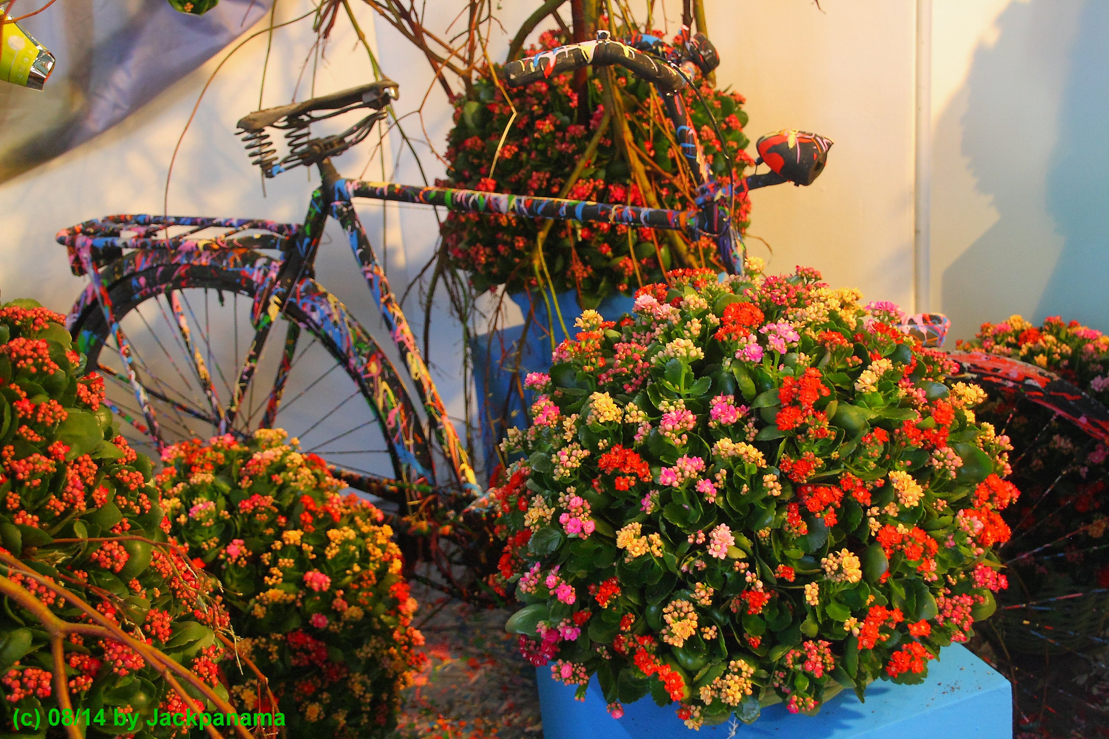 Blumenausstellung in einer alten Kirche in Nordwijk / Niederlande (1)