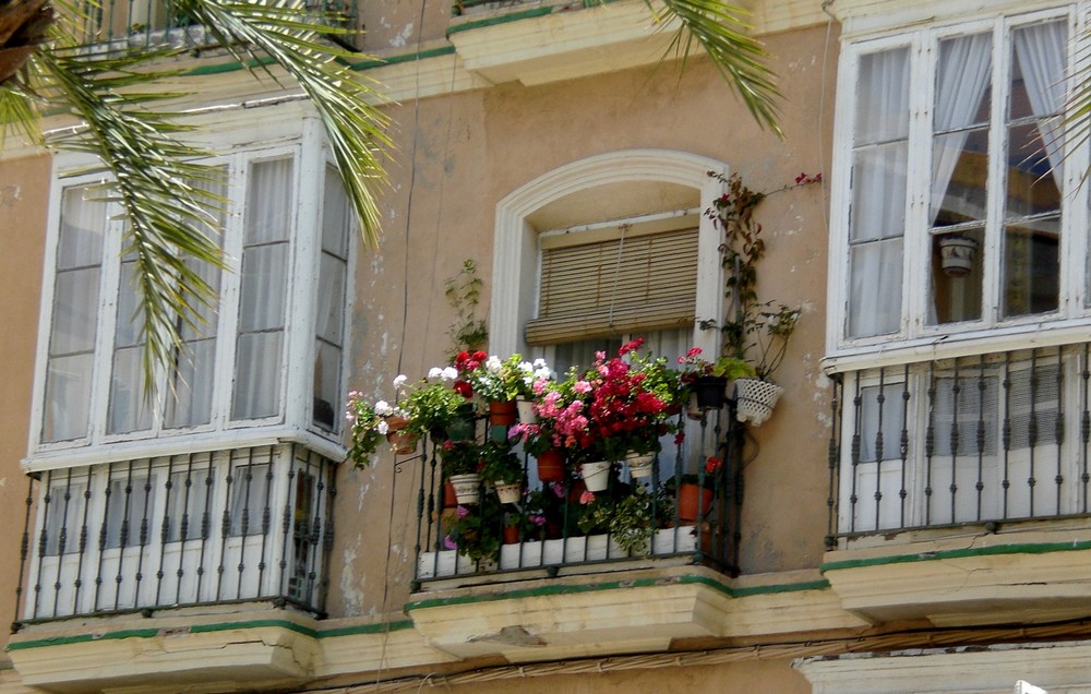 Blumenbalkon in Andalusien