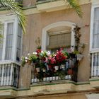 Blumenbalkon in Andalusien