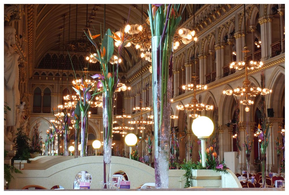 Blumenball im Wiener Rathaus