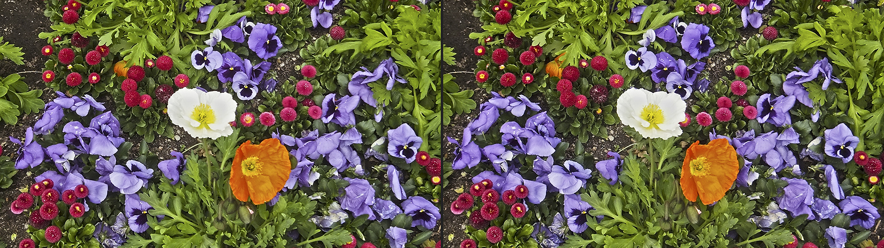 Blumenbeet 2 (3D)