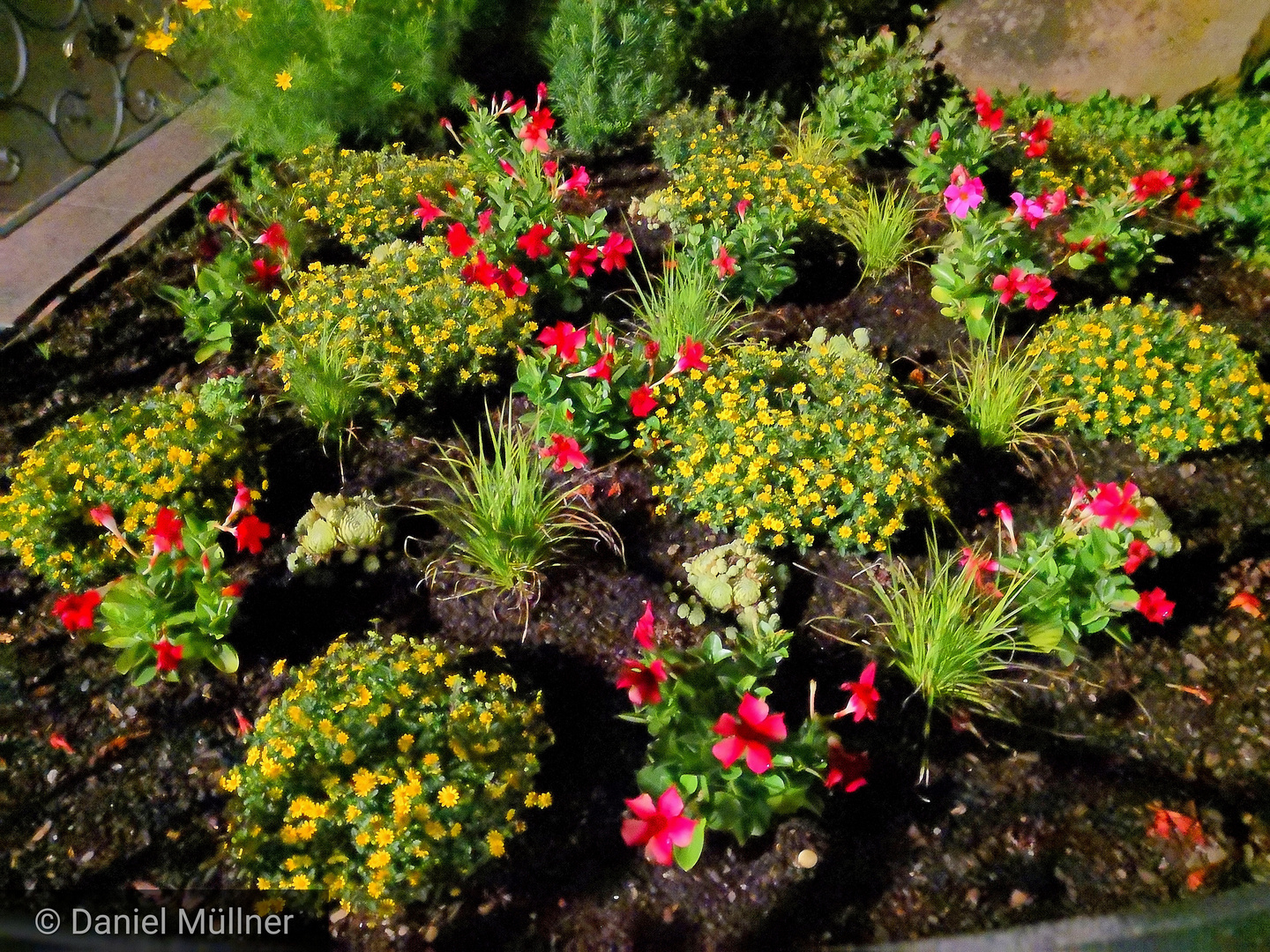 Blumenbeet bei Nacht