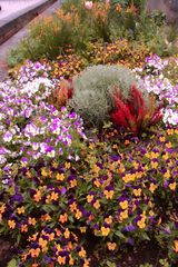 Blumenbeet im April