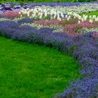 Blumenbeet im Garten