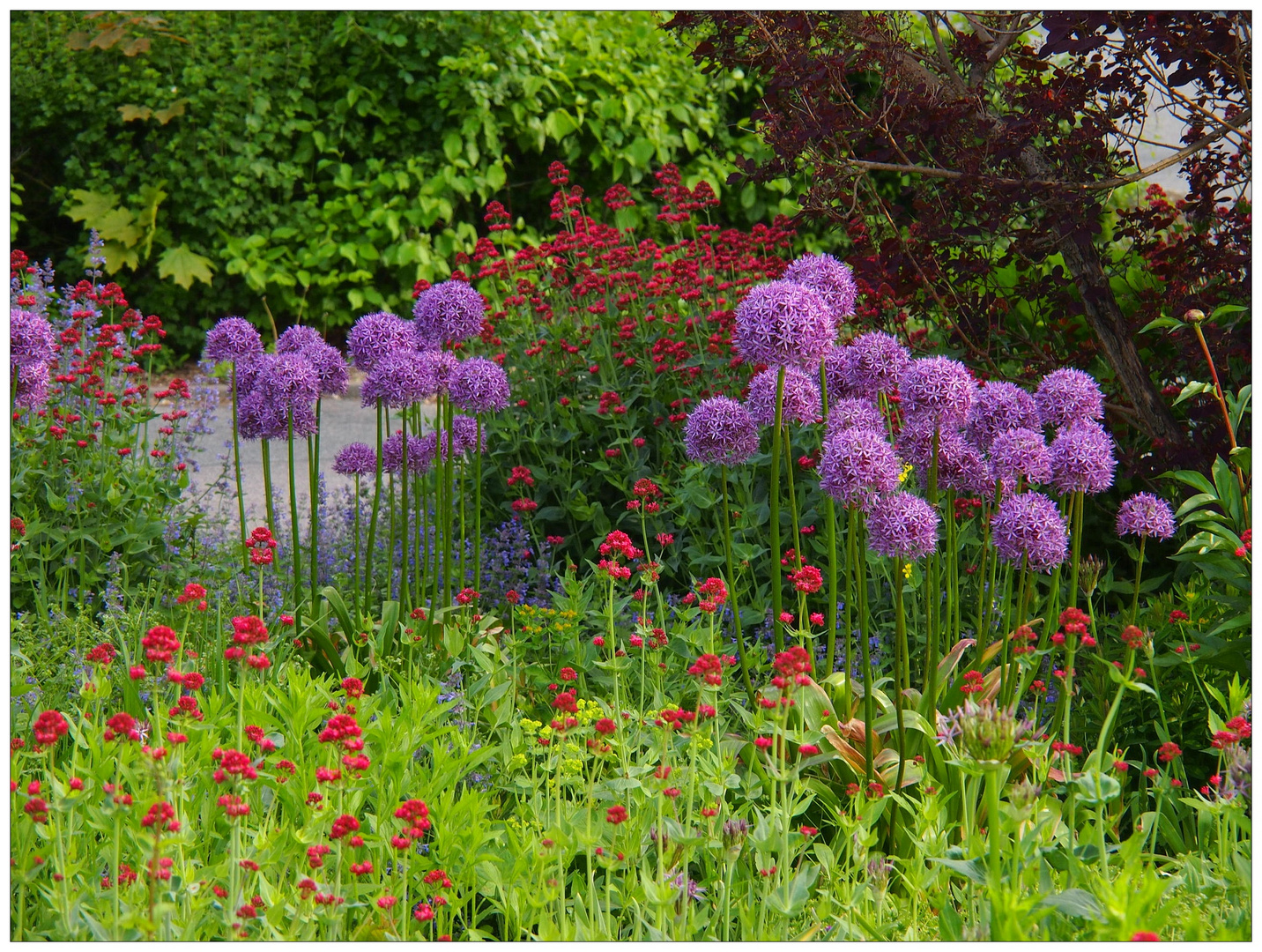 Blumenbeet im Kurpark