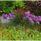 Blumenbeet im Kurpark