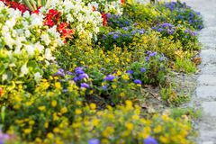 Blumenbeet im Stadtpark