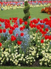 Blumenbeet vor Buckingham Palace in London