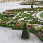 Blumenbeete im Brühler Schlosspark