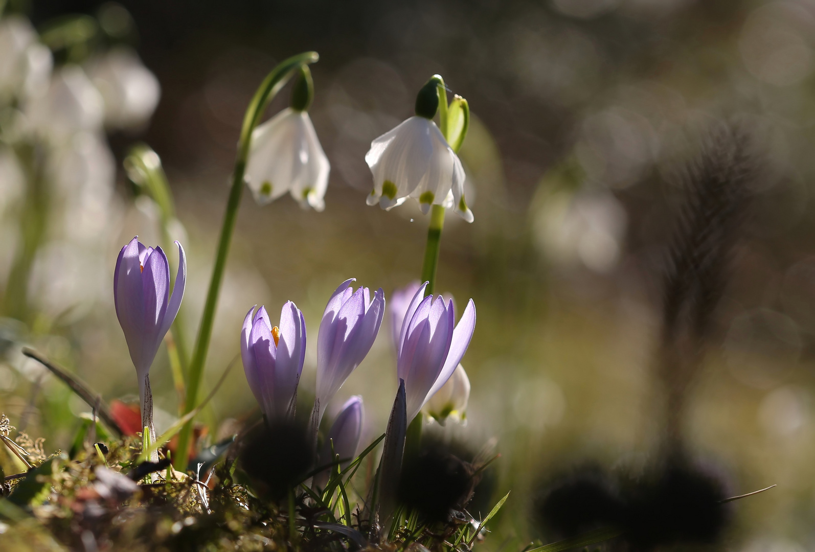 Blumenbegrüssung