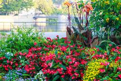 Blumenbepflanzung an Uferpromenade