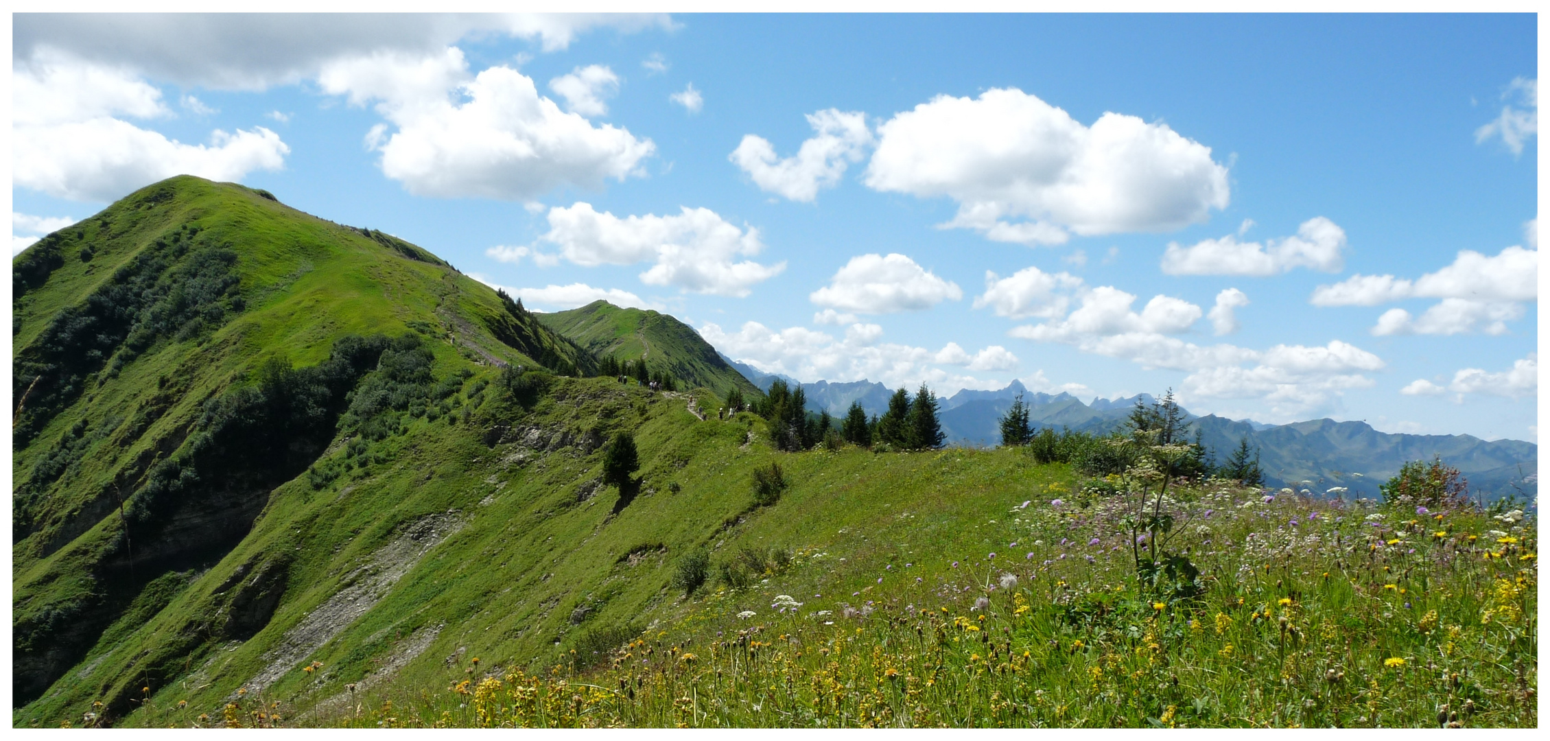 Blumenberg Fellhorn - Bavière