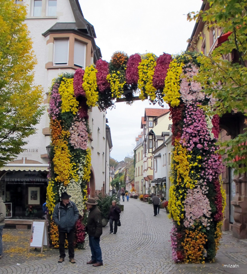 Blumenbogen in der Stadt