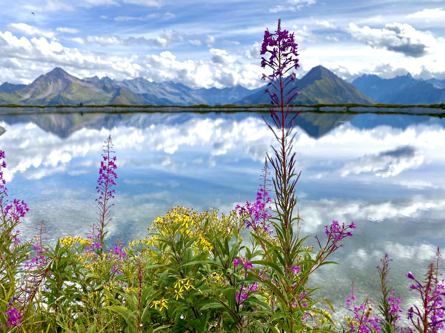 Blumenbracht mit Aussicht 