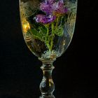 Blumencocktail