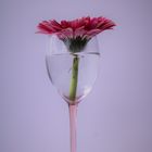 Blumencoctail