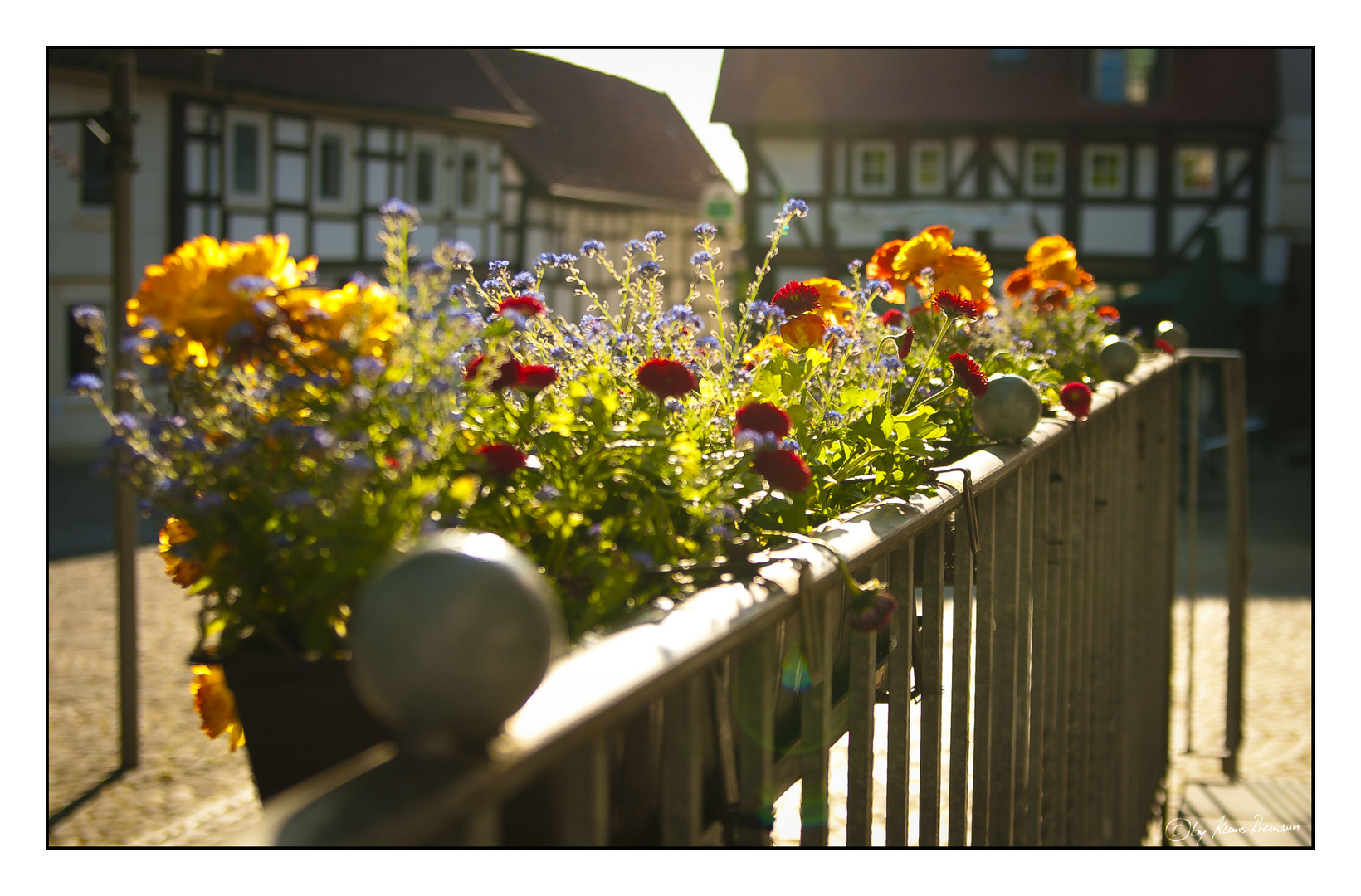 Blumendeko in Bad Essen