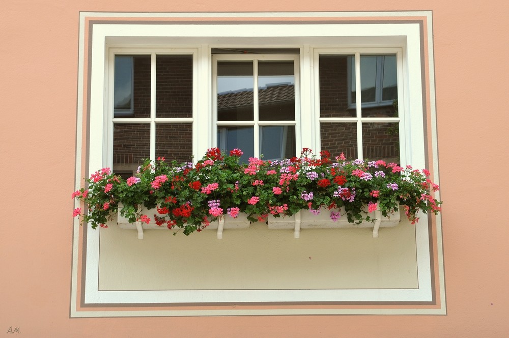 Blumendeko in Münster