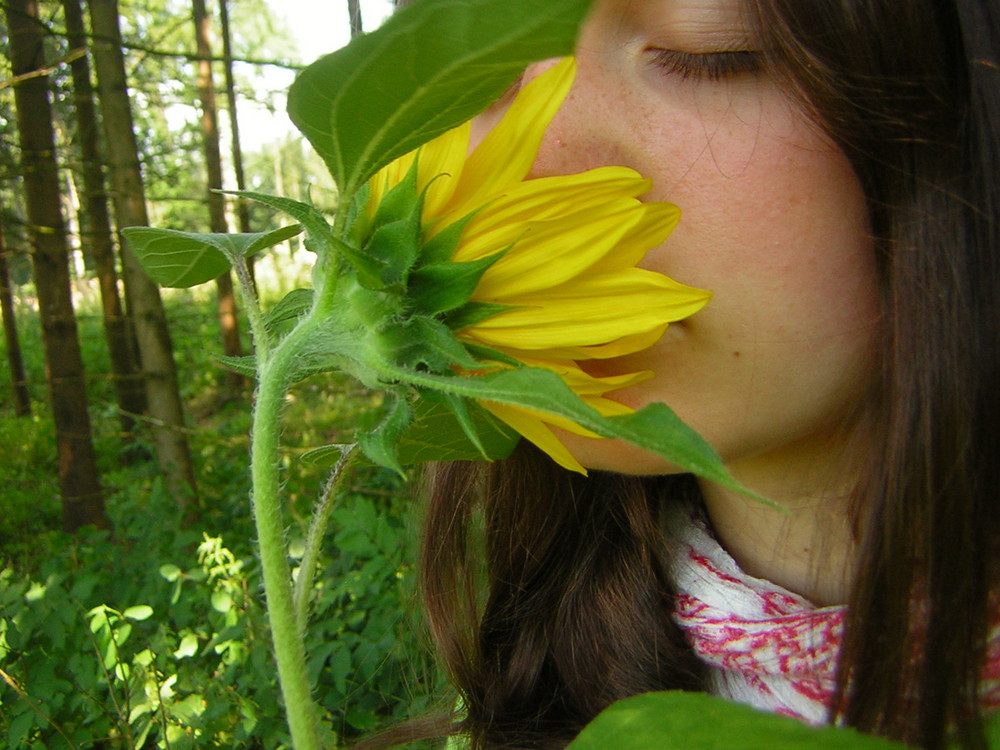 Blumenduft liegt in der Luft