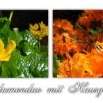 Blumenduo mit Hausgast