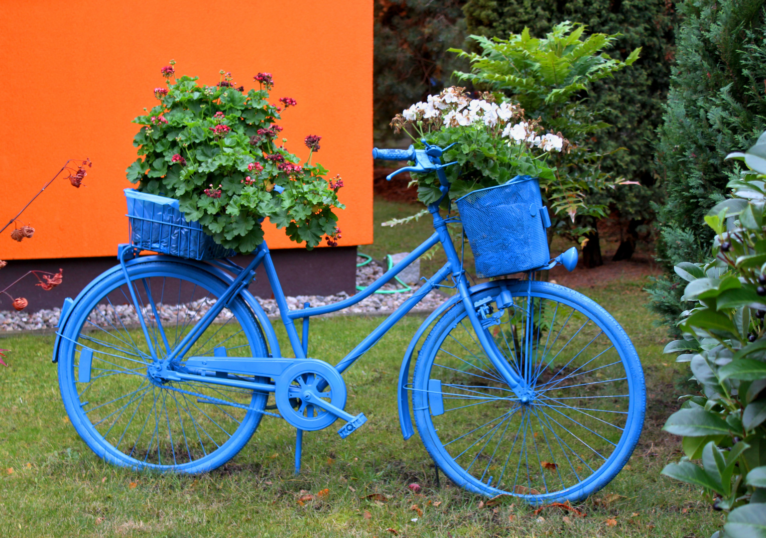 Blumenfahrrad