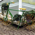 Blumenfahrrad