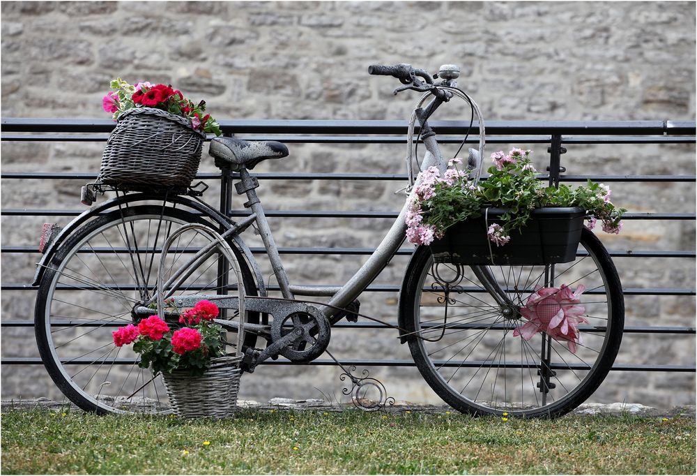 Blumenfahrrad