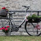 Blumenfahrrad