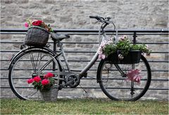 Blumenfahrrad