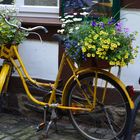 Blumenfahrrad