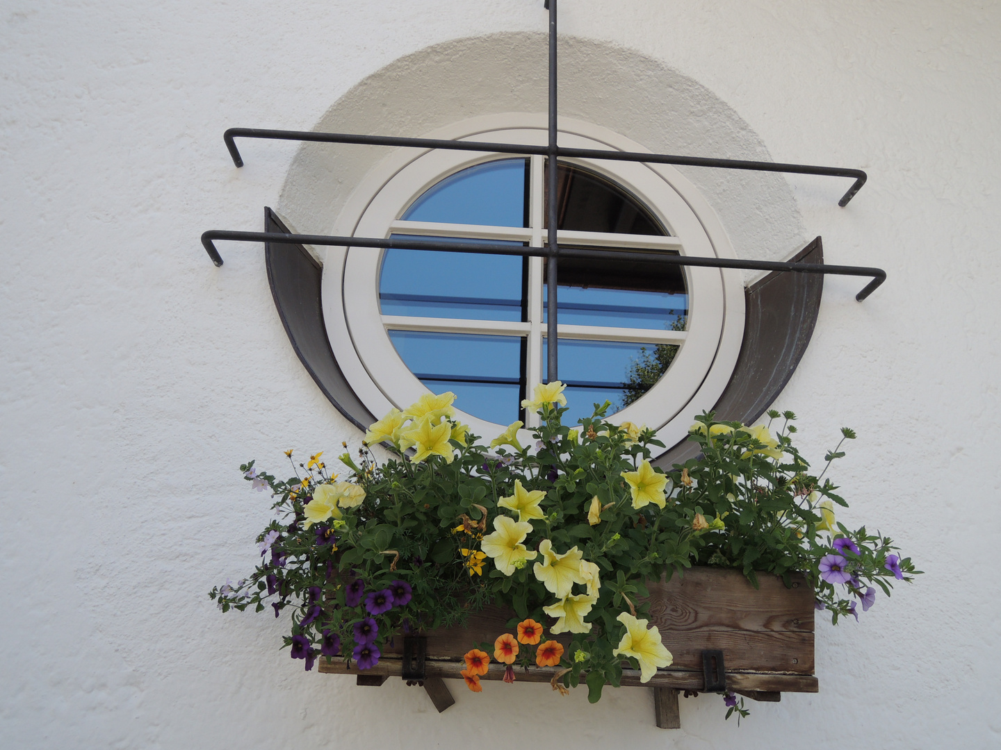 Blumenfenster