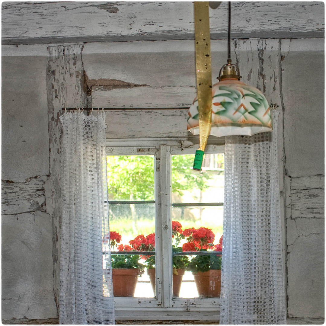 Blumenfenster