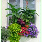 Blumenfenster 1