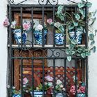 Blumenfenster 1