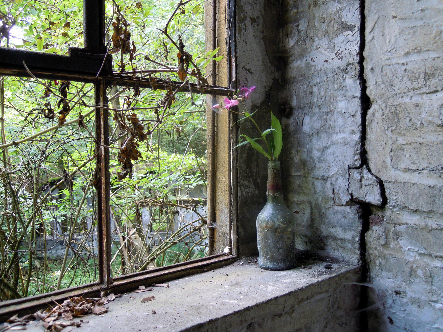 Blumen.fenster