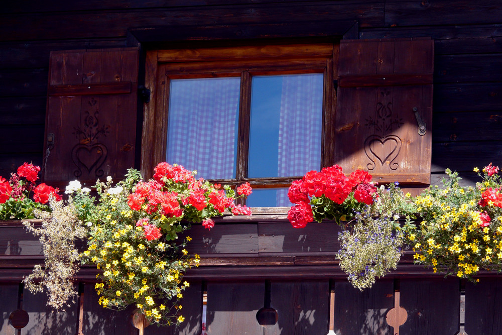 Blumenfenster