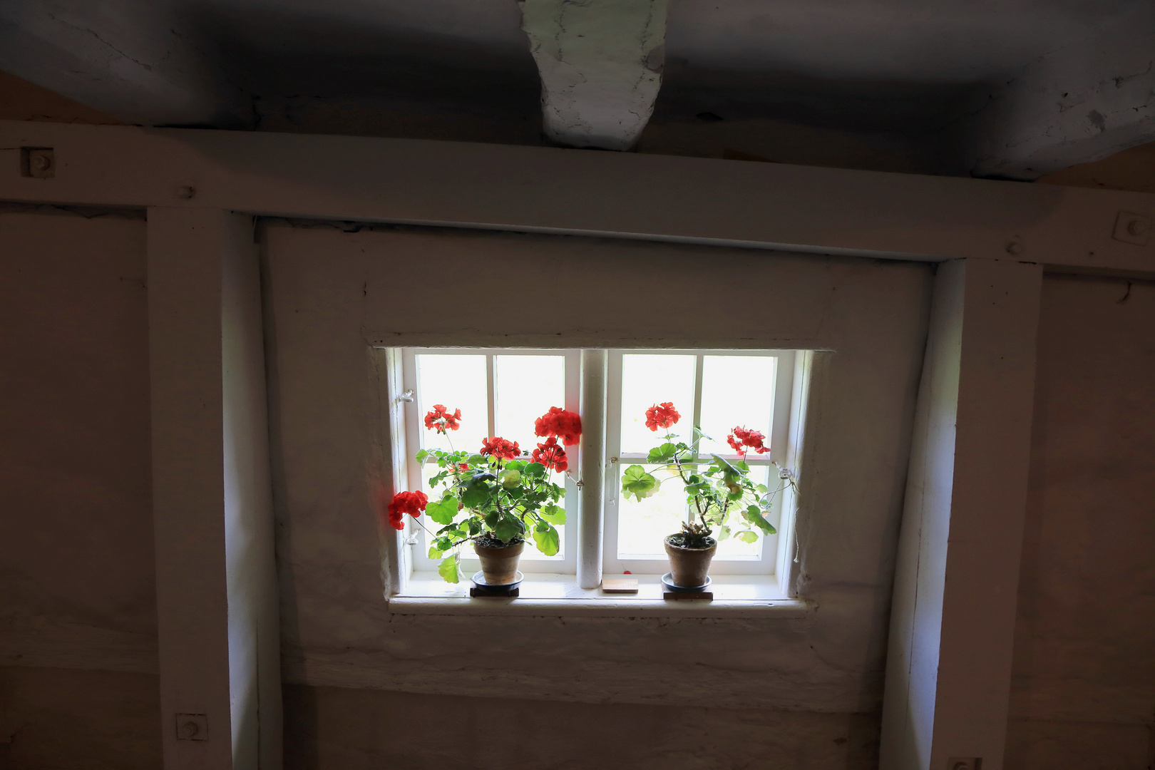 blumenfenster