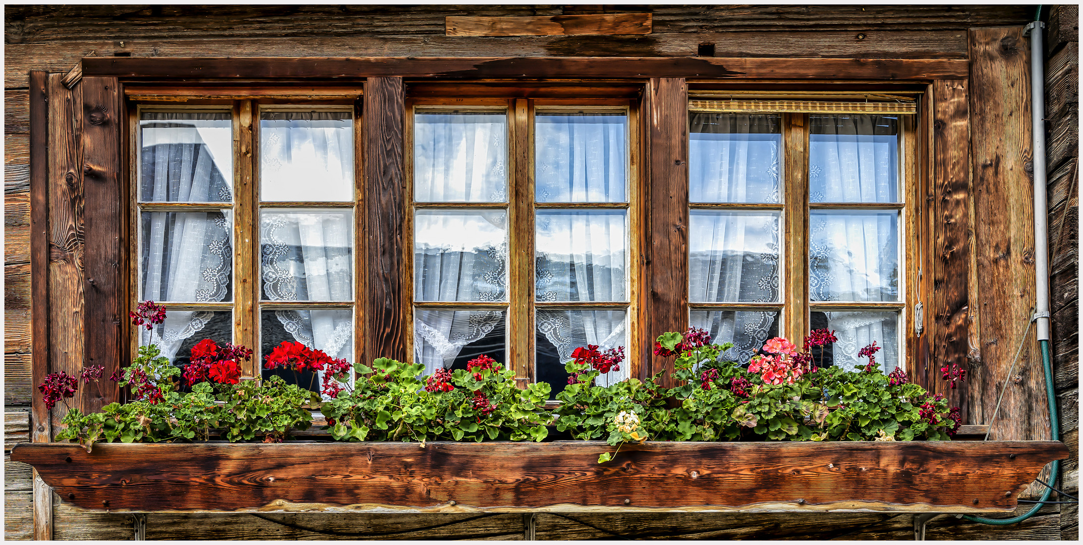 Blumenfenster