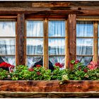 Blumenfenster