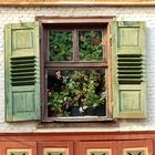 "Blumenfenster"