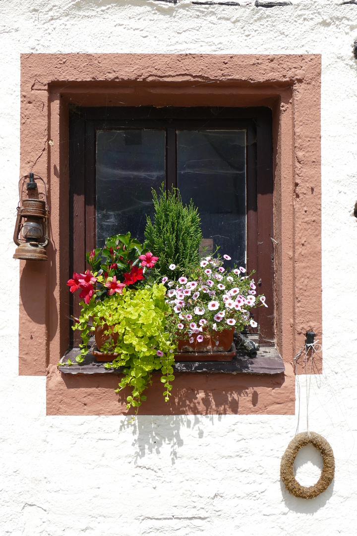 Blumenfenster