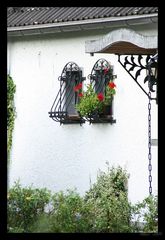 Blumenfenster