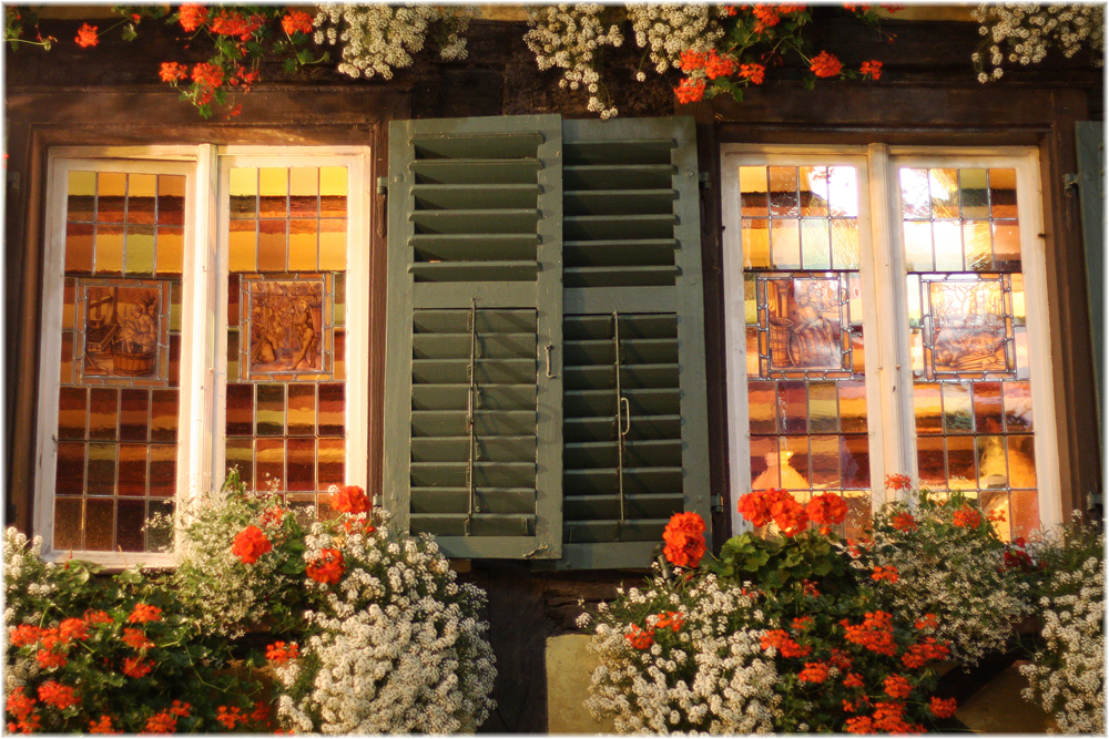 Blumenfenster