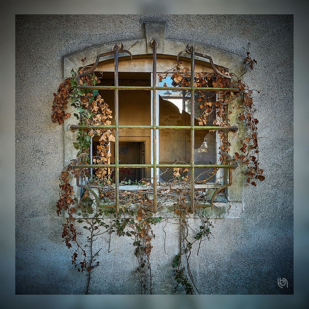 Blumenfenster