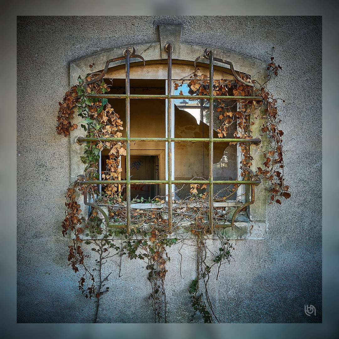 Blumenfenster