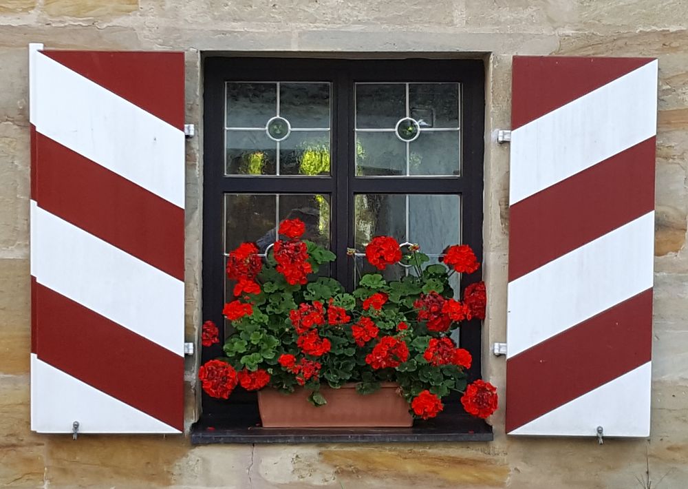 Blumenfenster