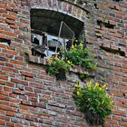 Blumenfenster