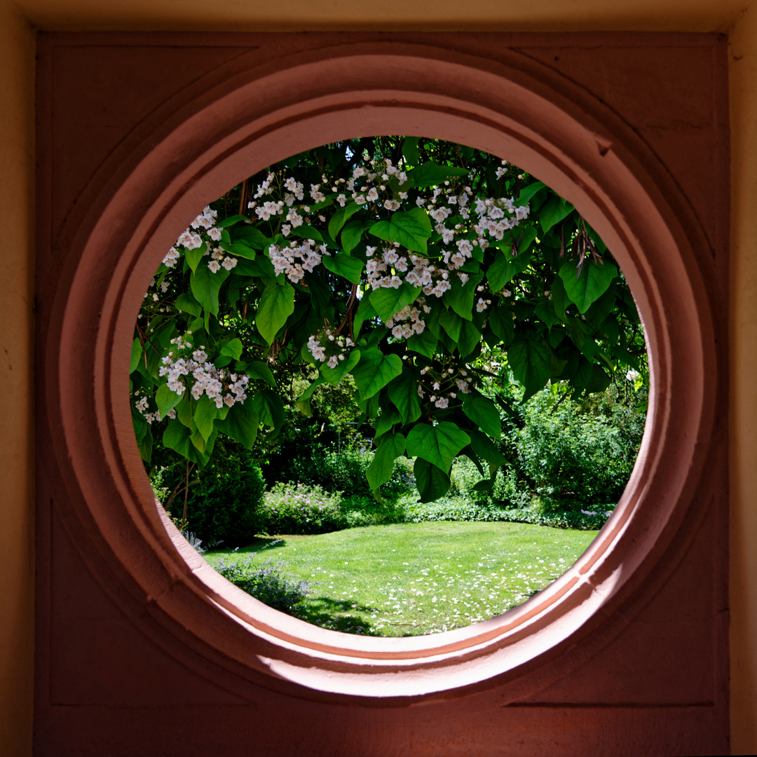 Blumenfenster