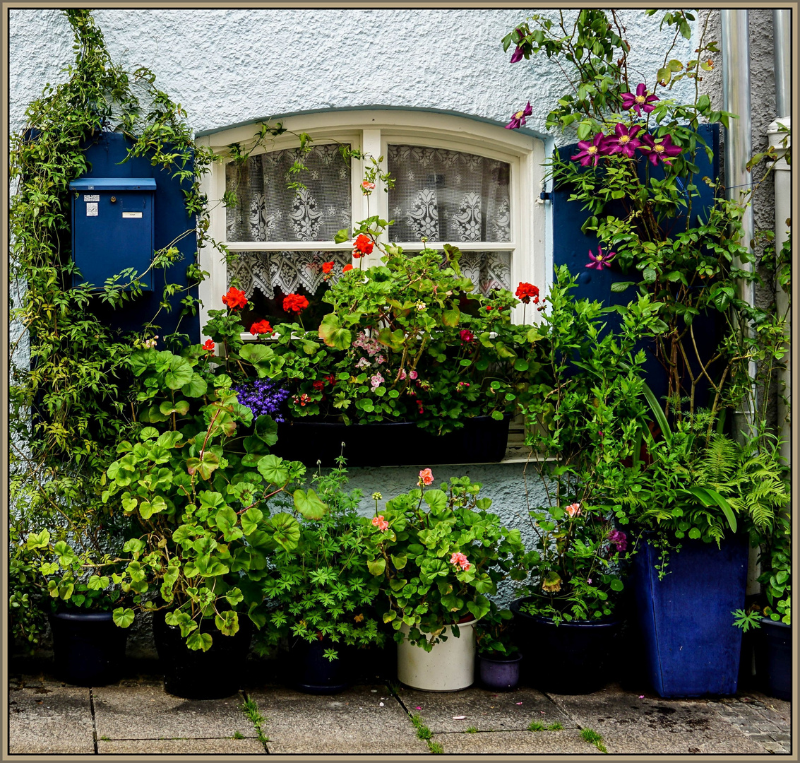 Blumenfenster